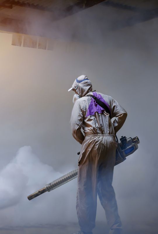 Roach Fumigation in Fort Myers, FL