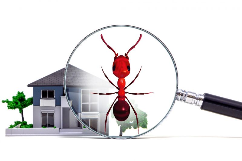 Ant Control Service detail
