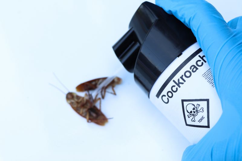 Cockroach Fumigation Service detail