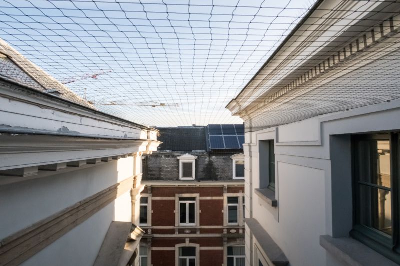 Commercial Bird Removal detail