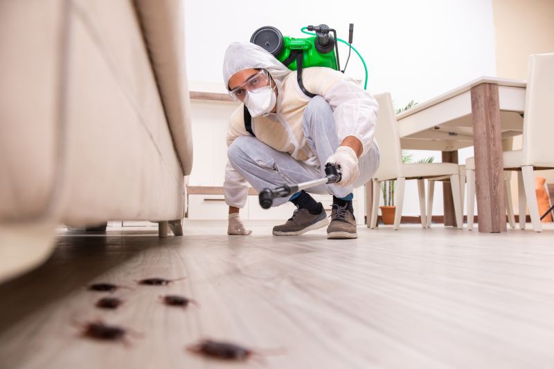 Insect Extermination Service detail